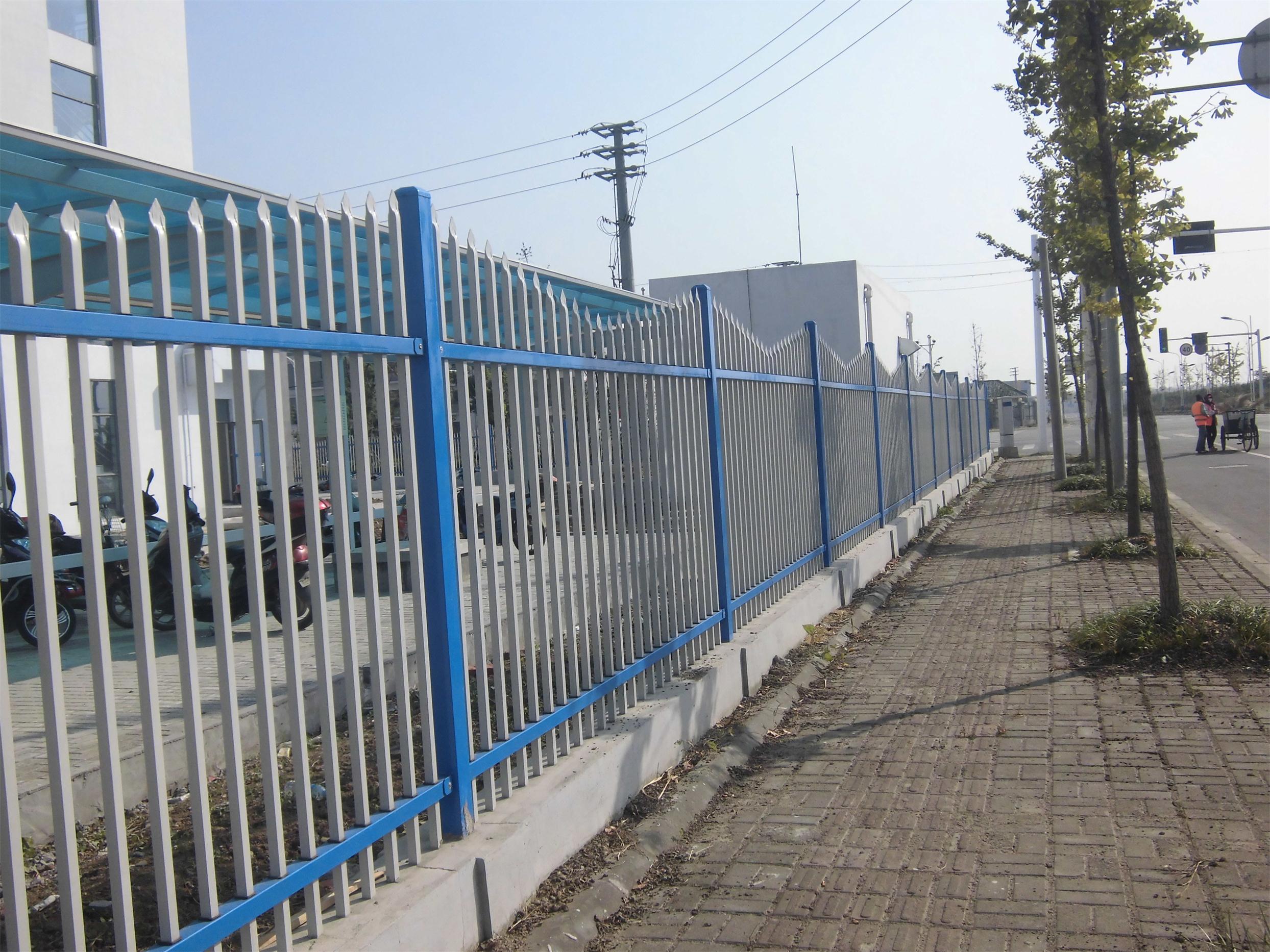CIMG1058_看图王.jpg